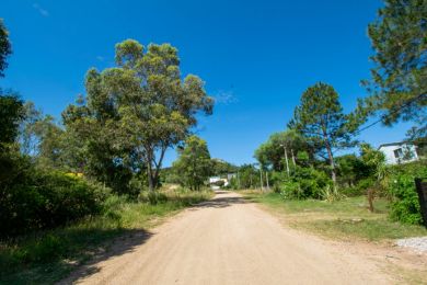 Season Rentals  Maldonado Playa Hermosa