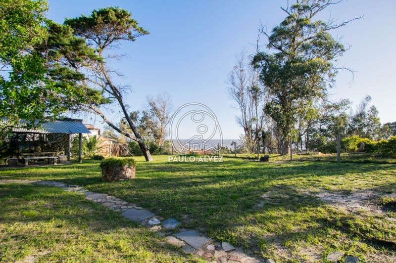 Jard&iacute;n