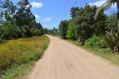 Season Rentals  Maldonado Punta Colorada