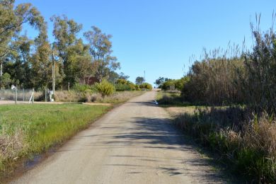 Season Rentals  Maldonado Punta Colorada