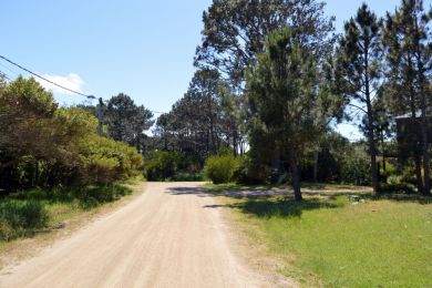 Venta, Alquiler Temporal  Maldonado Punta Colorada
