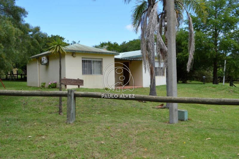 Jardín al frente