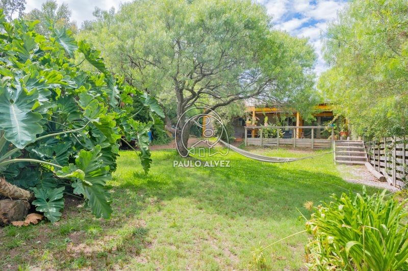 Hermoso jardín 