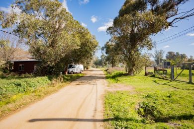 Alquiler Temporal  Maldonado Playa Grande