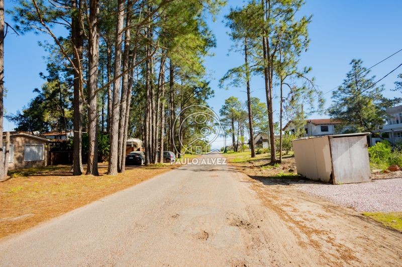 A 300 metros del mar 