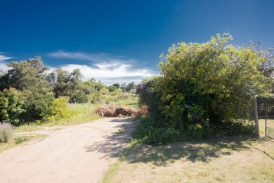 Alquiler Temporal  Maldonado Playa Grande