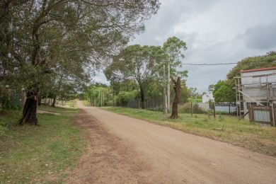 Alquiler Temporal  Maldonado Playa Hermosa