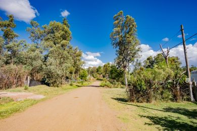 Alquiler Temporal  Maldonado Playa Verde