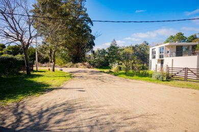 Alquiler Temporal  Maldonado Playa Verde