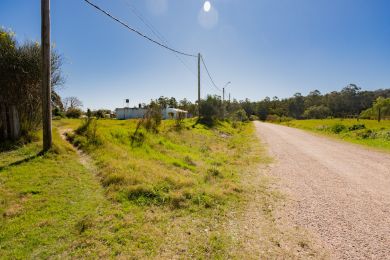 Venta  Maldonado Las Flores