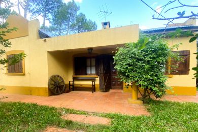 Venta  Maldonado Piripolis