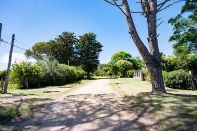 Venta  Maldonado Piripolis