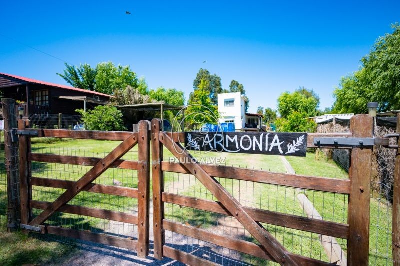 Armonía