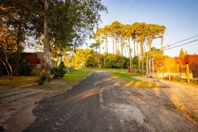 Venta  Maldonado Piripolis