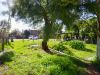 Jardín al frente 