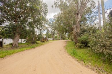 Venta, Alquiler Temporal  Maldonado Playa Grande