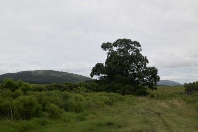 Venda  Maldonado Punta Negra