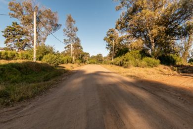 Season Rentals  Maldonado Punta Colorada