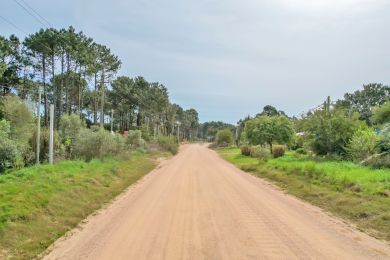 Alquiler Temporal  Maldonado Punta Colorada