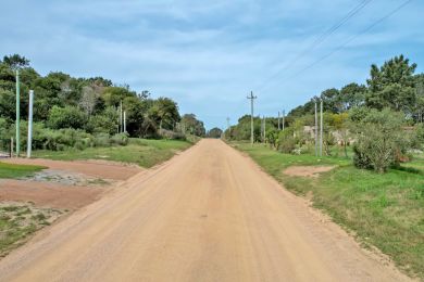 Alquiler Temporal  Maldonado Punta Colorada