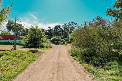 Alquiler Temporal  Maldonado Punta Colorada