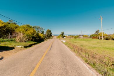 Alquiler Temporal  Maldonado Punta Negra