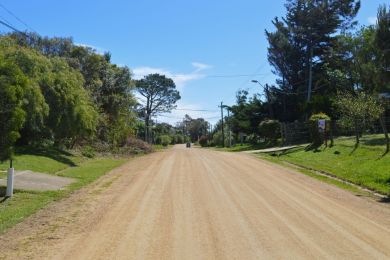 Alquiler Temporal  Maldonado San Francisco