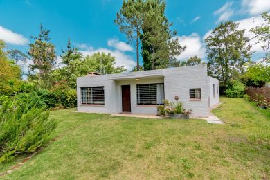 Alquiler Temporal  Maldonado San Francisco