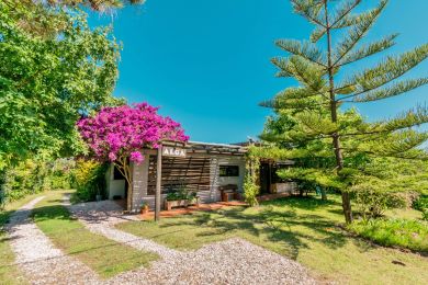 Alquiler Temporal  Maldonado San Francisco