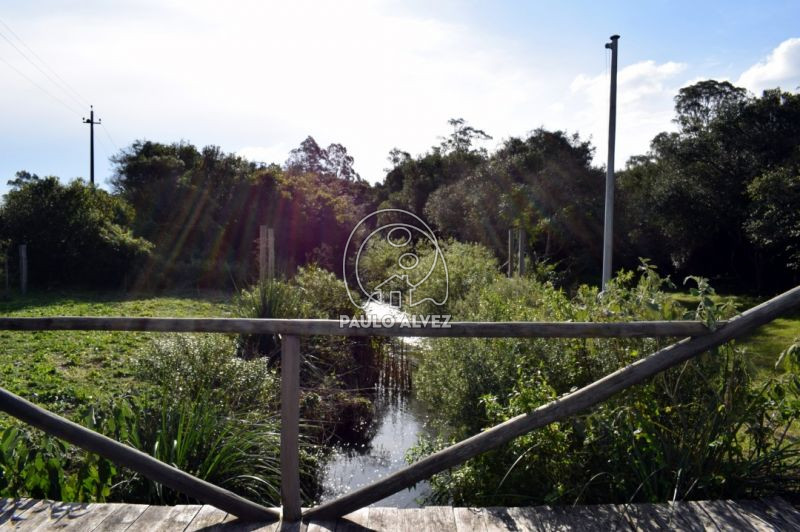 Arroyo De Las Flores