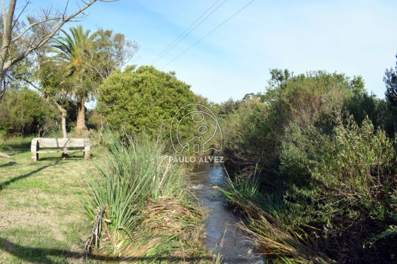 Arroyo De Las Flores