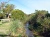 Arroyo De Las Flores