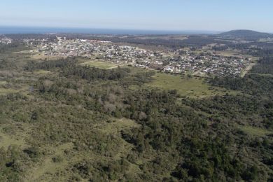 Venta  Maldonado Piripolis