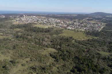 Venda  Maldonado Piripolis