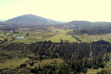 Venda  Maldonado Piripolis