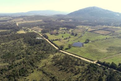 Venda  Maldonado Piripolis