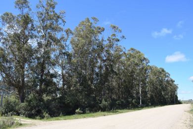 Venta  Maldonado Playa Hermosa