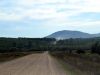 Camino