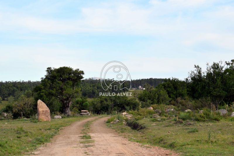 Caminería ecuestre