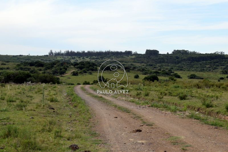 Caminería propia a cada chacra