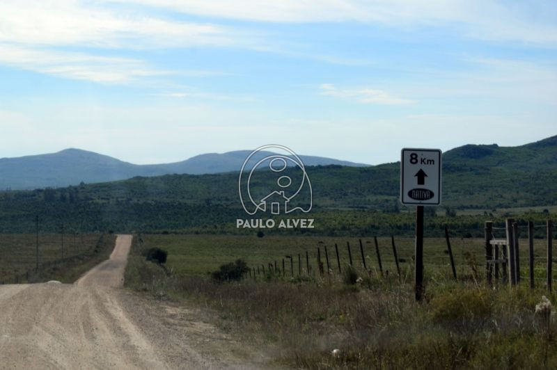 Caminería en muy buen estado