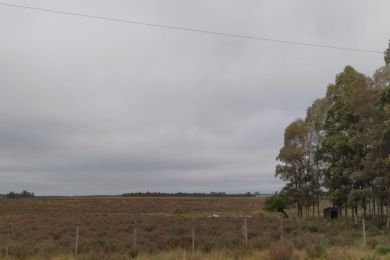 Venda  Canelones Soca