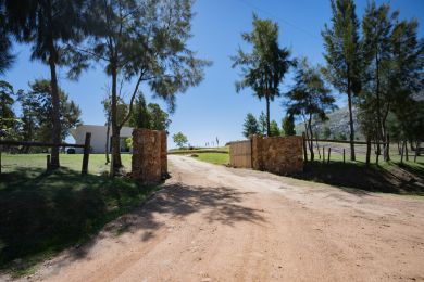 Venta  Maldonado Piripolis