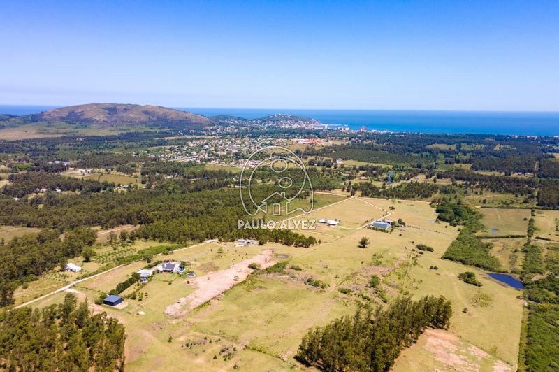 Vista inmejorable al mar 