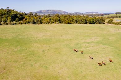 Venta  Maldonado Playa Hermosa