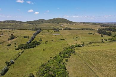 Venta  Maldonado Punta Negra