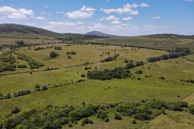 Venta  Maldonado Punta Negra