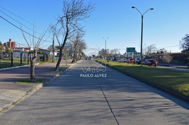 Avenida Artigas