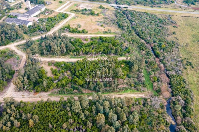 A metros de la ciudad