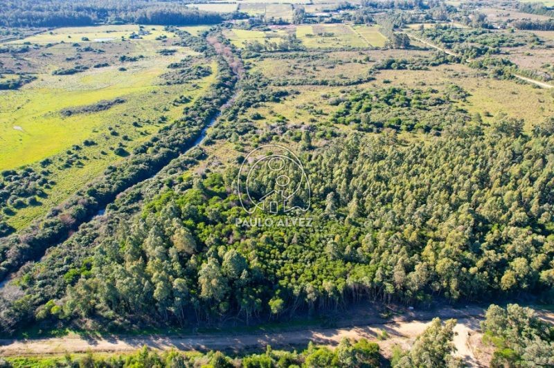 Ideal para vivir todo el a&ntilde;o